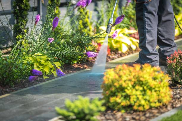 Professional Pressure Washing Services in Providence, RI